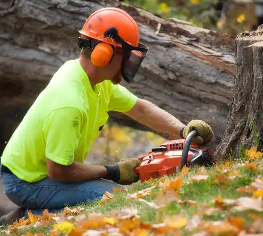 tree services Osakis